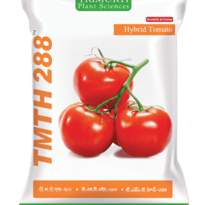 TMTH 288