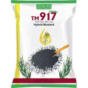 TM 917