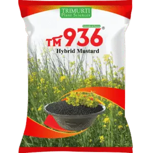 TM 936