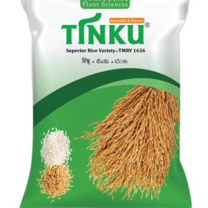 Tinku
