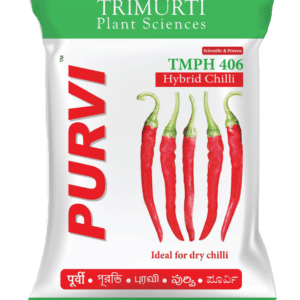 Purvi (TMPH 406)