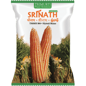 Srinath (TMMH 804)