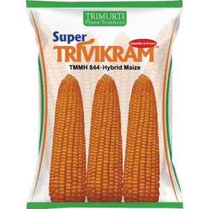 SUPER TRIVIKRAM (TMMH 844)