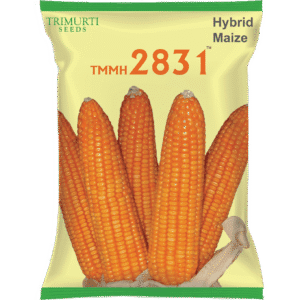 TMMH 2831