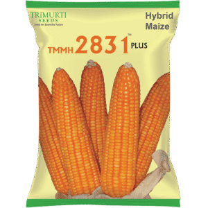 TMMH 2831 Plus