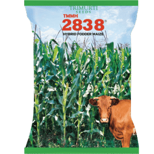 Fodder (TMMH2838)