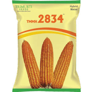 TMMH 2834