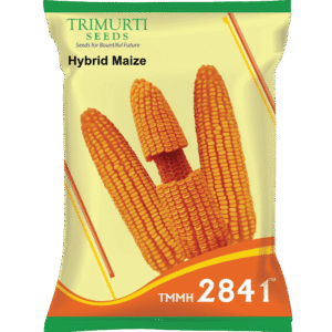 TMMH 2841