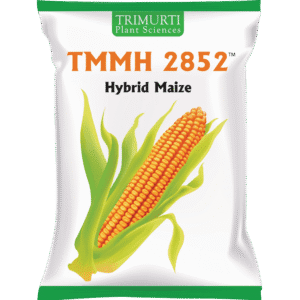 TMMH 2852