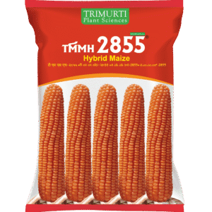 TMMH 2855