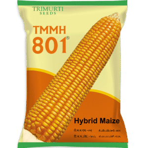 TMMH 801