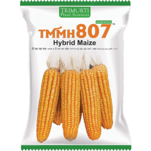 TMMH 807