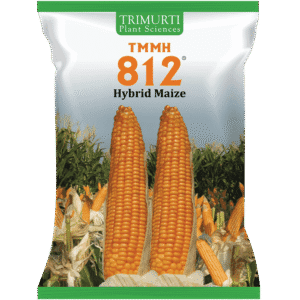 TMMH 812