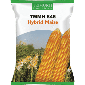 TMMH 846