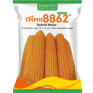 TMMH 8862