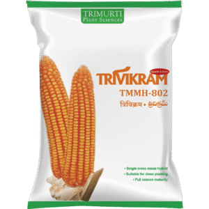 TRIVIKRAM  (TMMH 802)