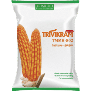 TRIVIKRAM  (TMMH 802)