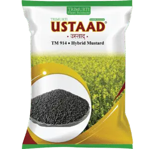 Ustaad (TM 914)
