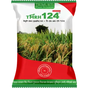 TMRH 124