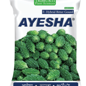 AYESHA (TMBI 1314)