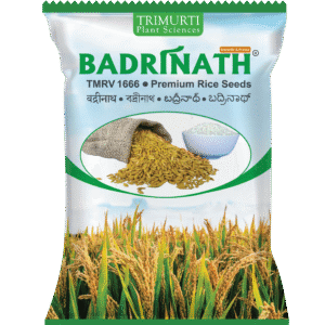 BADRINATH (TMRV 1666)