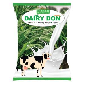 DAIRY DON (TMFH 1222)