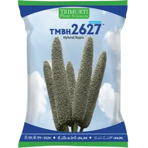 TMBH 2627