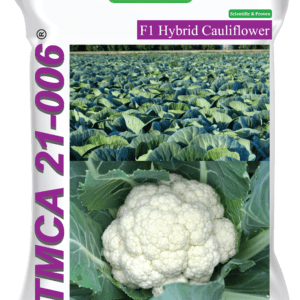 TMCA 21006
