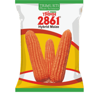 TMMH 2861