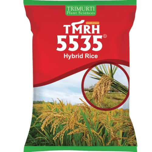 TMRH 5535