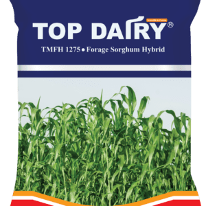 TOP DAIRY (TMFH 1275)
