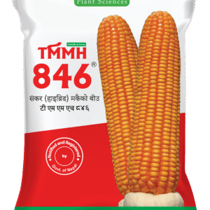 TMMH 846