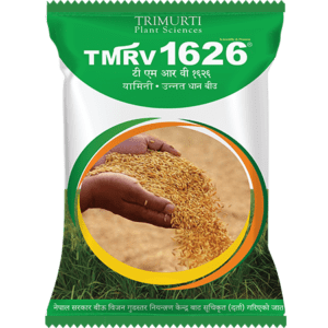 TMRV 1626