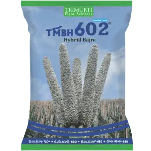 TMBH 602