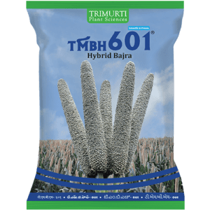 TMBH 601
