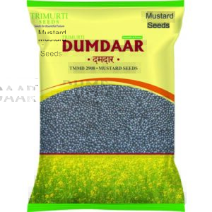Dumdaar (TMMD 2908)